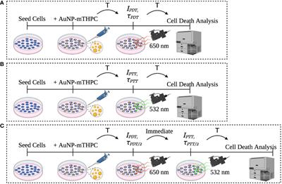 A predictive model for personalization of nanotechnology-based phototherapy in cancer treatment